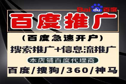 SEM推广实战：案例分析及优化路径